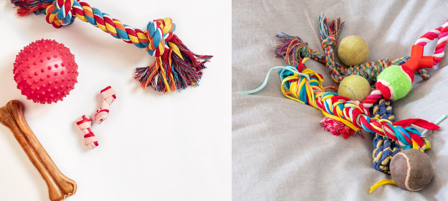 Dog Toys