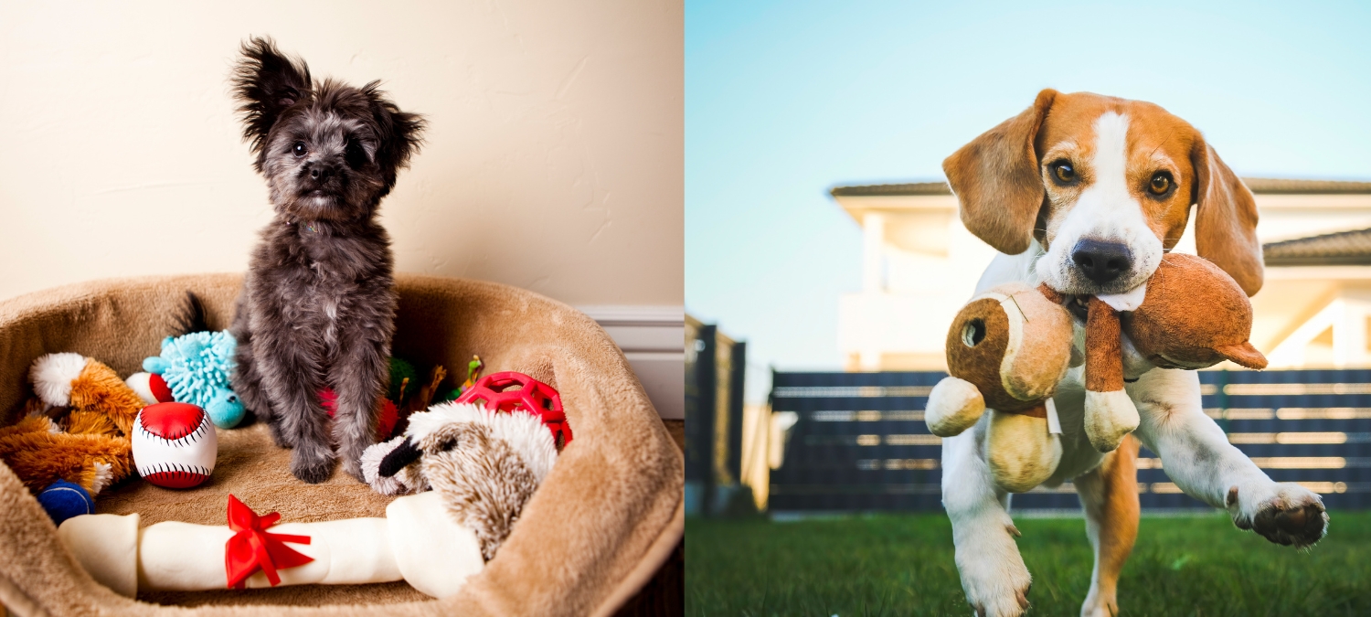 Illustration-Dog Toys