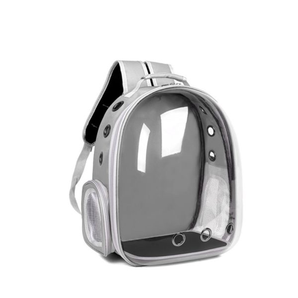 Cat Bubble Backpack-1 (2)