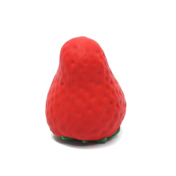 Strawberry Dog Chew Toy-1