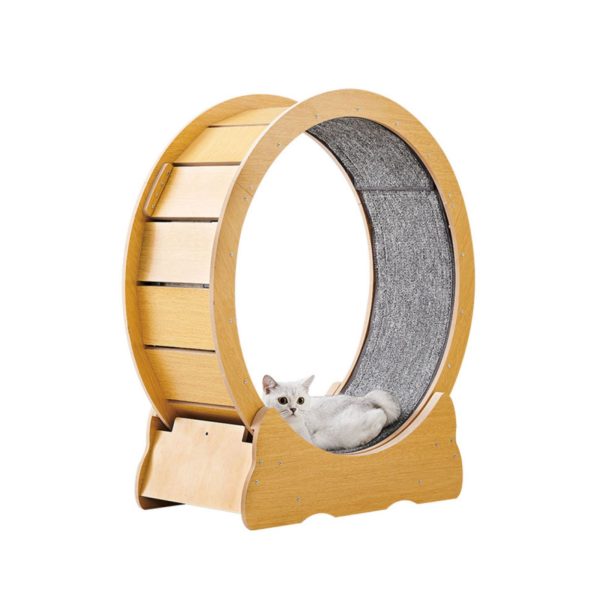 Wooden Cat Exercise Wheel-1 (2)