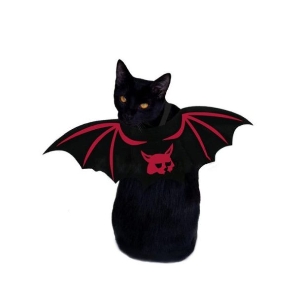 Bat Wings For Cats HT-BWFC01-1 (5)