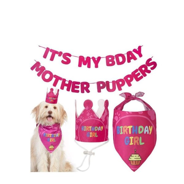 Pet Birthday Party Decorations HT-PBPD01-1 (2)