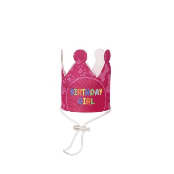 Pet Birthday Party Decorations HT-PBPD01-1 (6)