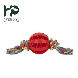 Leaking Watermelon Balls Chew Toys-1