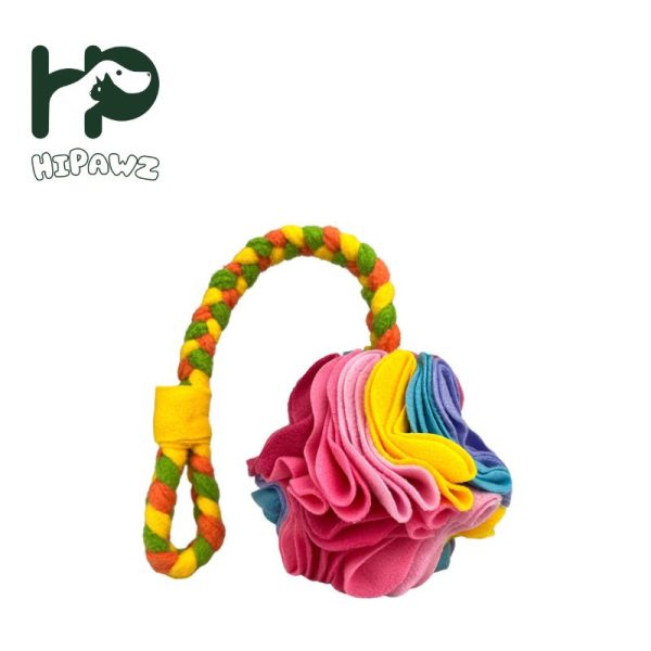 New Type Chew Rope Toys (5)